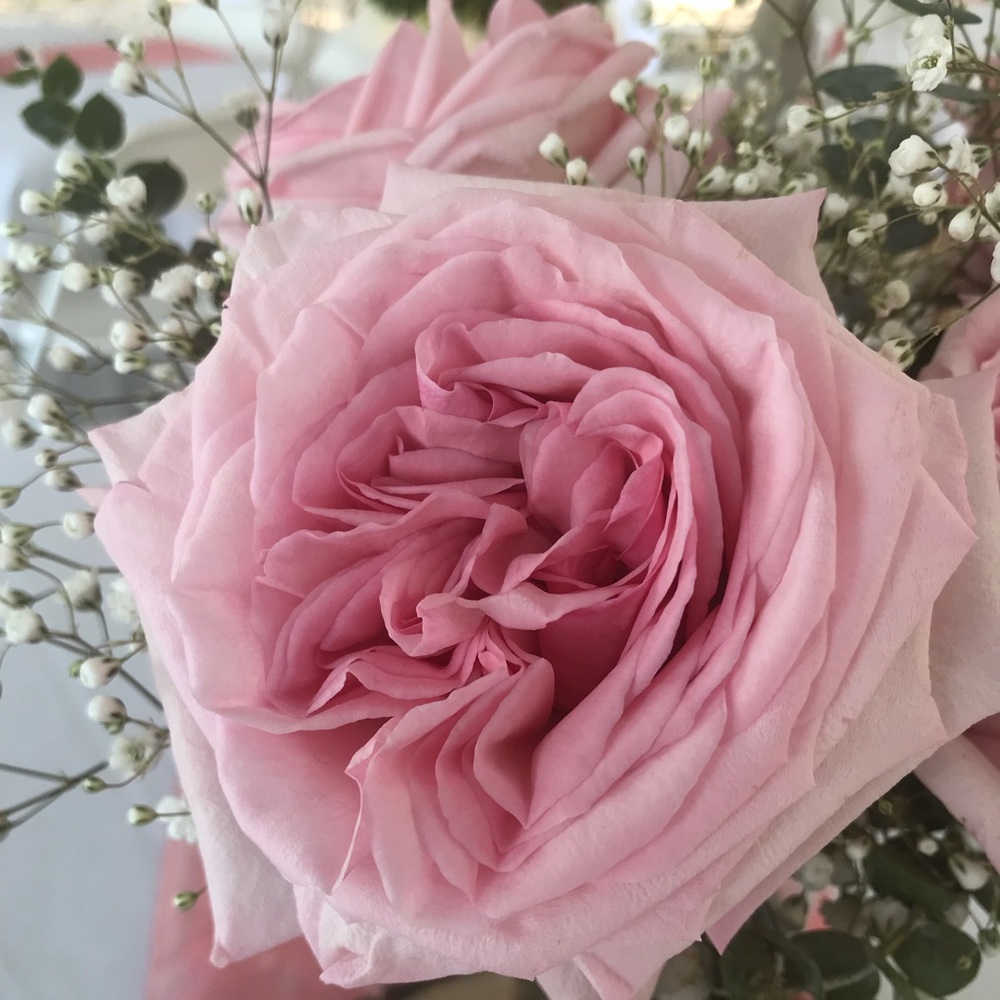 Meet your Posher, Leah